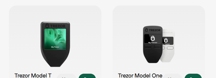 Which Bitcoin Wallet Is Best in Tanzania - Trezor
