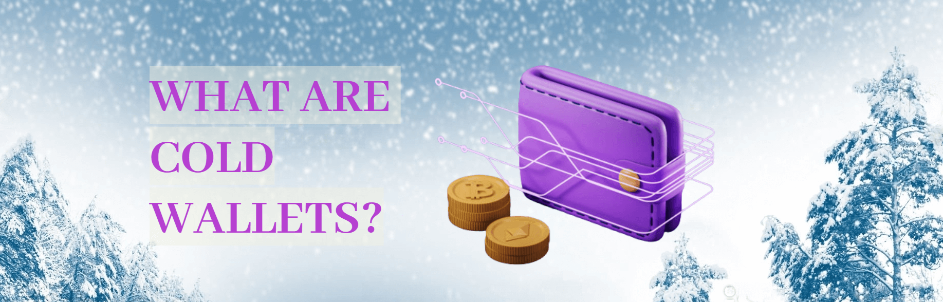 What are Cold Wallets? How to Use a Cold Wallet Effectively