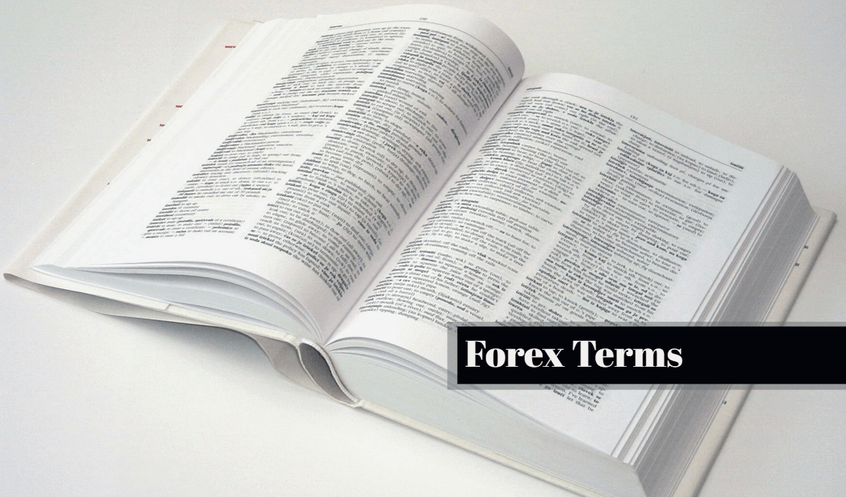 Forex terms for beginners