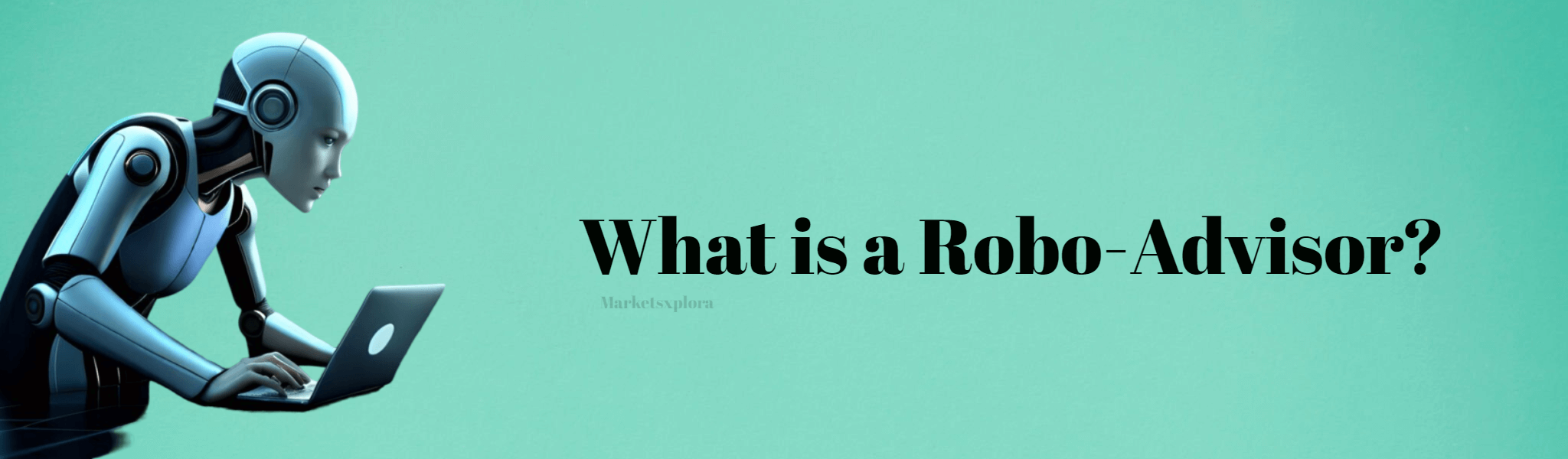 What is a Robo-Advisor?