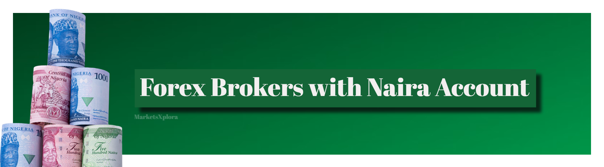 Read our detailed guide ranking the top Nigerian friendly Forex brokers facilitating seamless Naira account funding and trading locally securely.