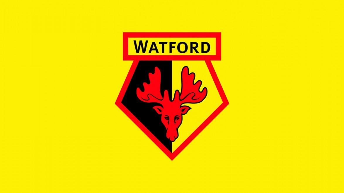 Watford F.C.'s digital equity offering, facilitated by Republic and Seedrs, allows investors to receive tokens and access exclusive offers while supporting the club's ambitions.